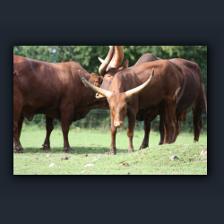 Essehof 029 - r2.jpg