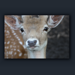 Essehof 030 - re01.jpg