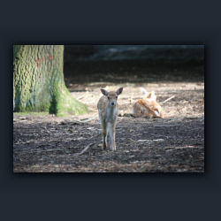 Essehof 031 - re02.jpg