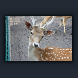 Essehof 032 - re03.jpg