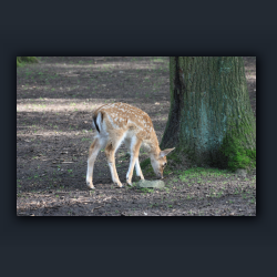 Essehof 033 - re04.jpg