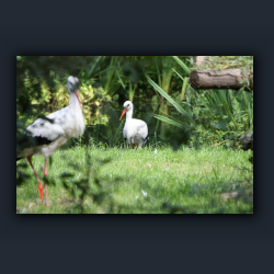 Essehof 035 - st01.jpg