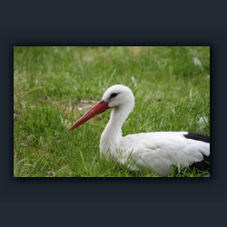 Essehof 037 - st07.jpg