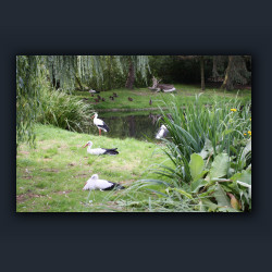 Essehof 038 - st08.jpg