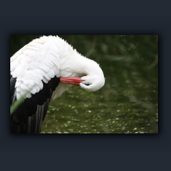 Essehof 039 - st09.jpg