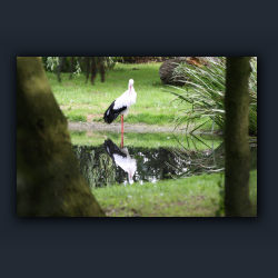 Essehof 041 - st11.jpg