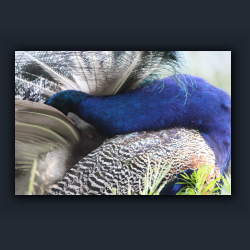 Essehof 048 - v08.jpg