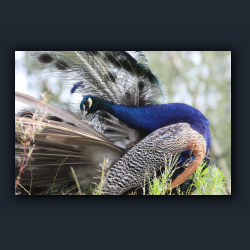 Essehof 049 - v10.jpg