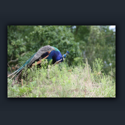 Essehof 050 - v14.jpg