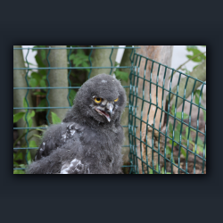 Essehof 053 - yu02.jpg