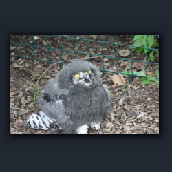 Essehof 056 - yu06.jpg