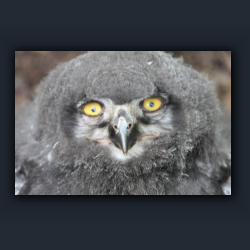 Essehof 057 - yu09.jpg