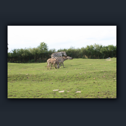 Essehof 059 - z03.jpg