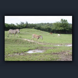 Essehof 062 - z06.jpg