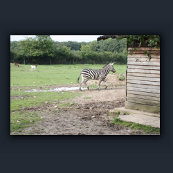 Essehof 063 - z09.jpg