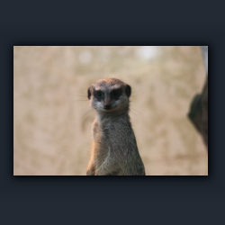 Essehof 065 - zz2.jpg